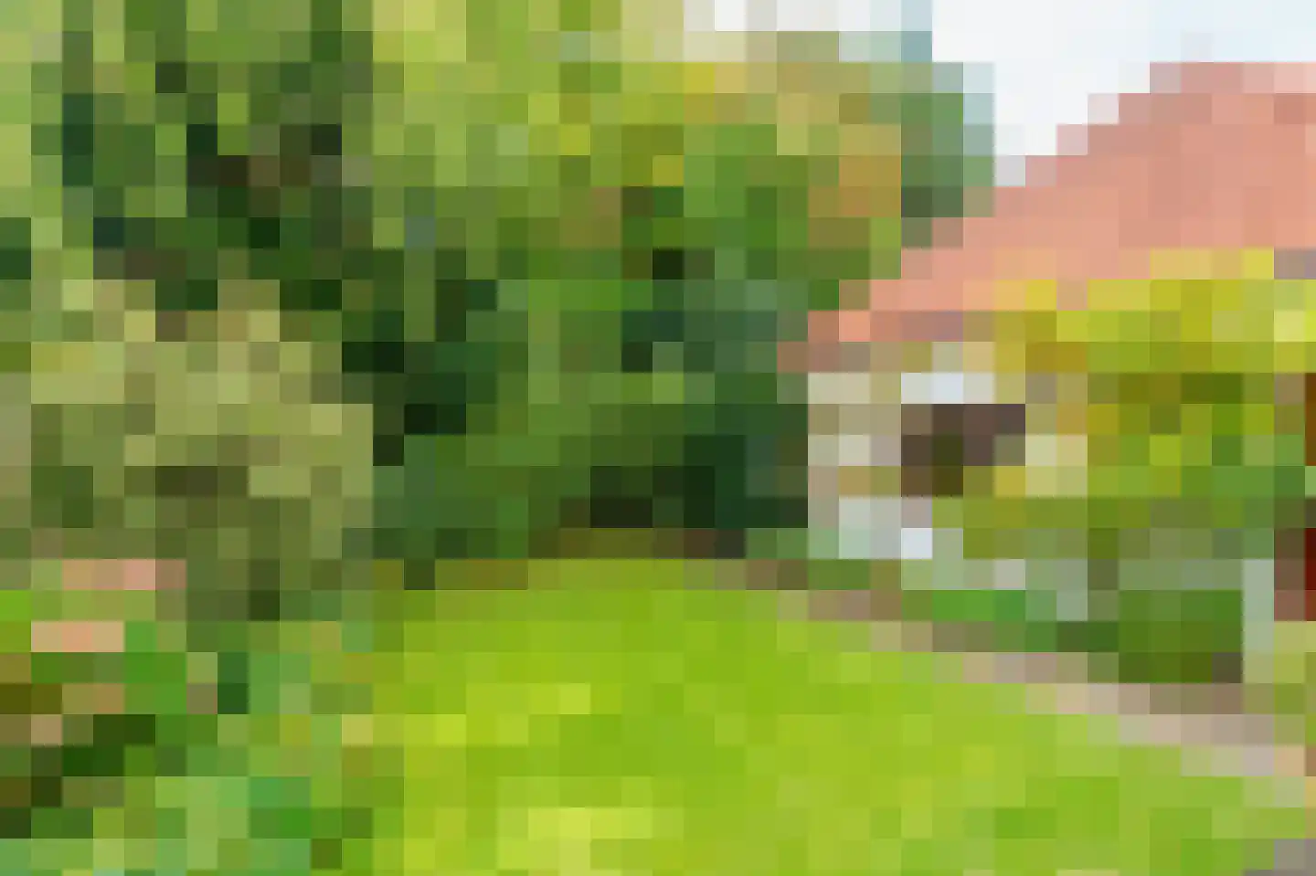Van Zuylen van Nijeveltstraat 57 Wassenaar thumbnail 48