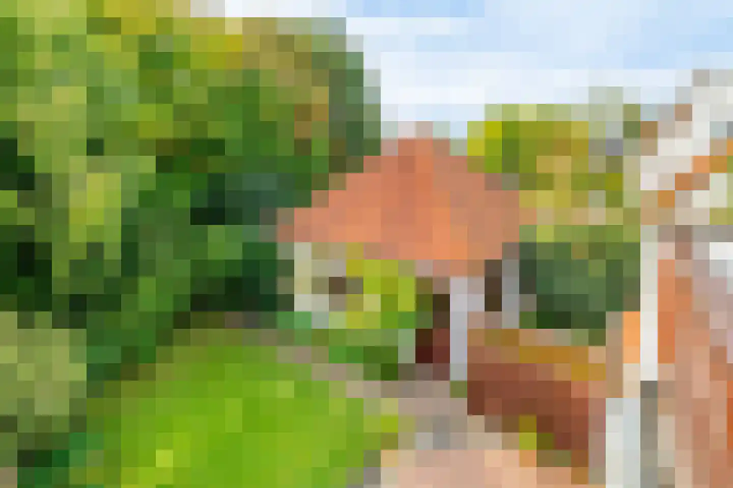 Van Zuylen van Nijeveltstraat 57 Wassenaar thumbnail 55