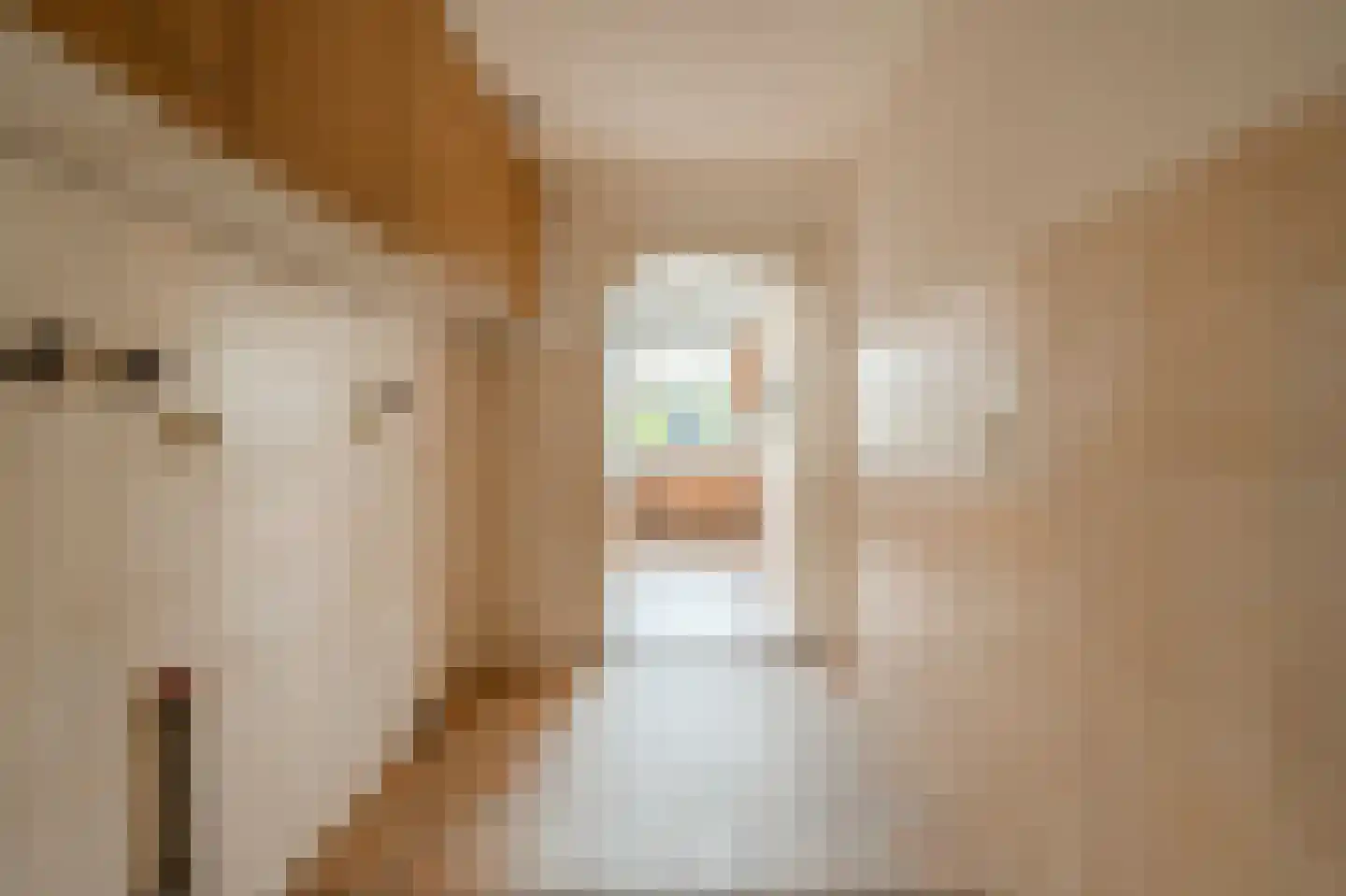 Van Zuylen van Nijeveltstraat 6 Wassenaar thumbnail 10