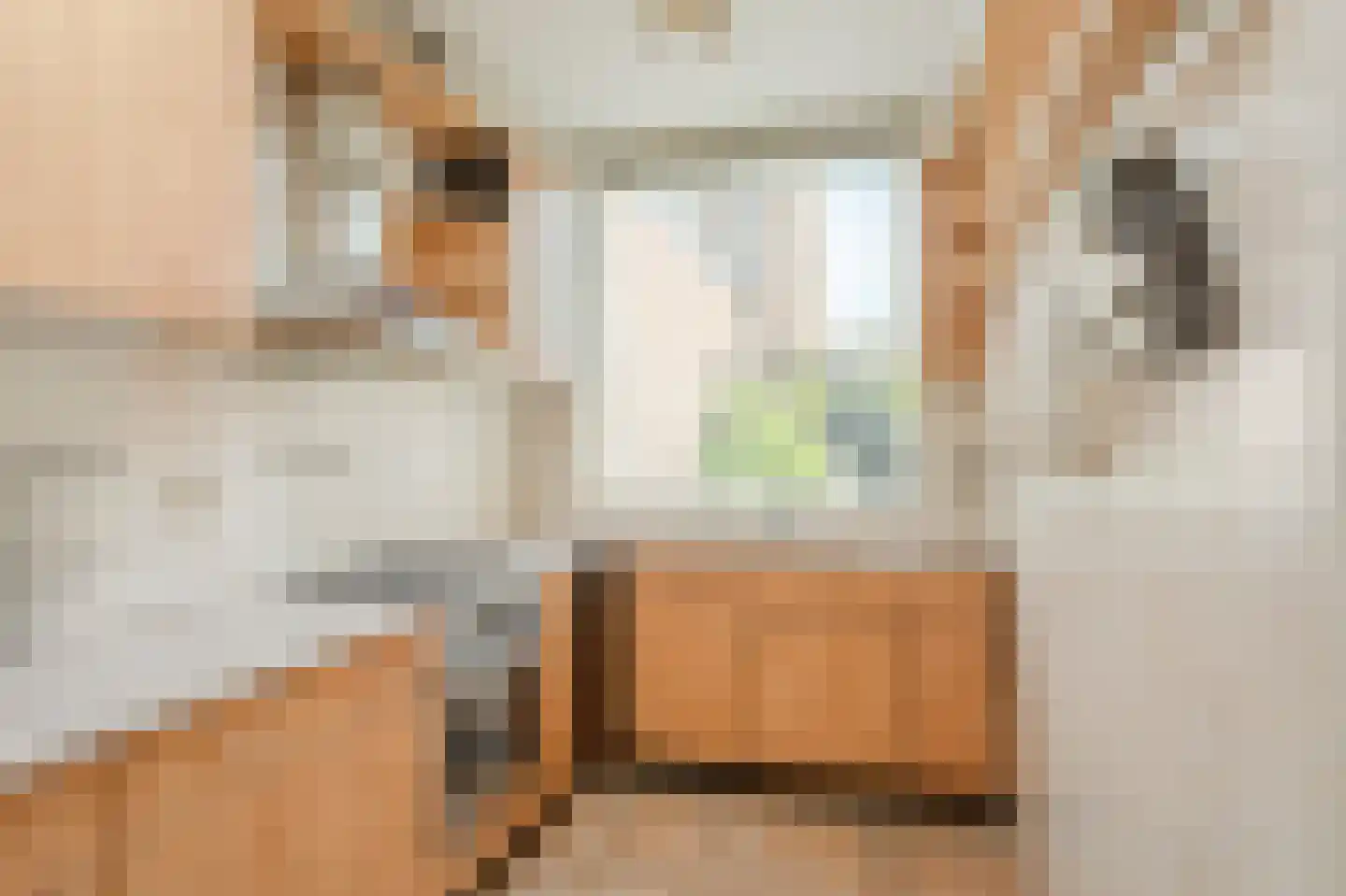 Van Zuylen van Nijeveltstraat 6 Wassenaar thumbnail 12