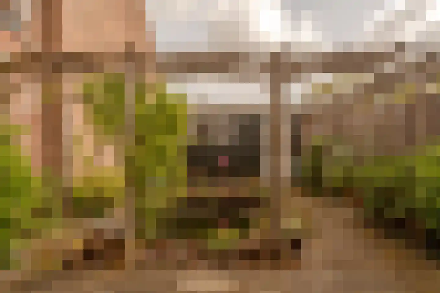 Van Zuylen van Nijeveltstraat 6 Wassenaar thumbnail 16