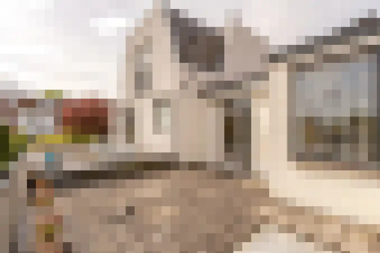 Van Zuylen van Nijeveltstraat 6 Wassenaar thumbnail 30