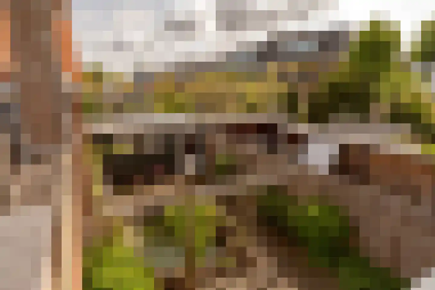 Van Zuylen van Nijeveltstraat 6 Wassenaar thumbnail 31