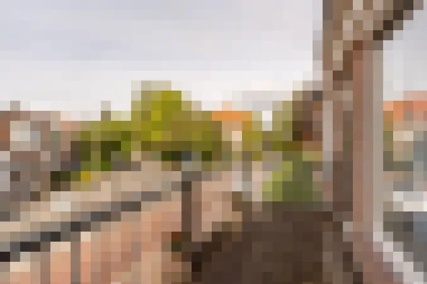 Van Zuylen van Nijeveltstraat 6 Wassenaar thumbnail 36
