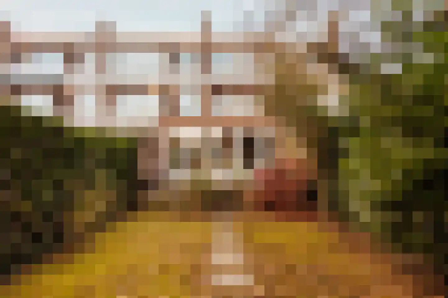 Van Zuylen van Nijeveltstraat 86 Wassenaar thumbnail 20