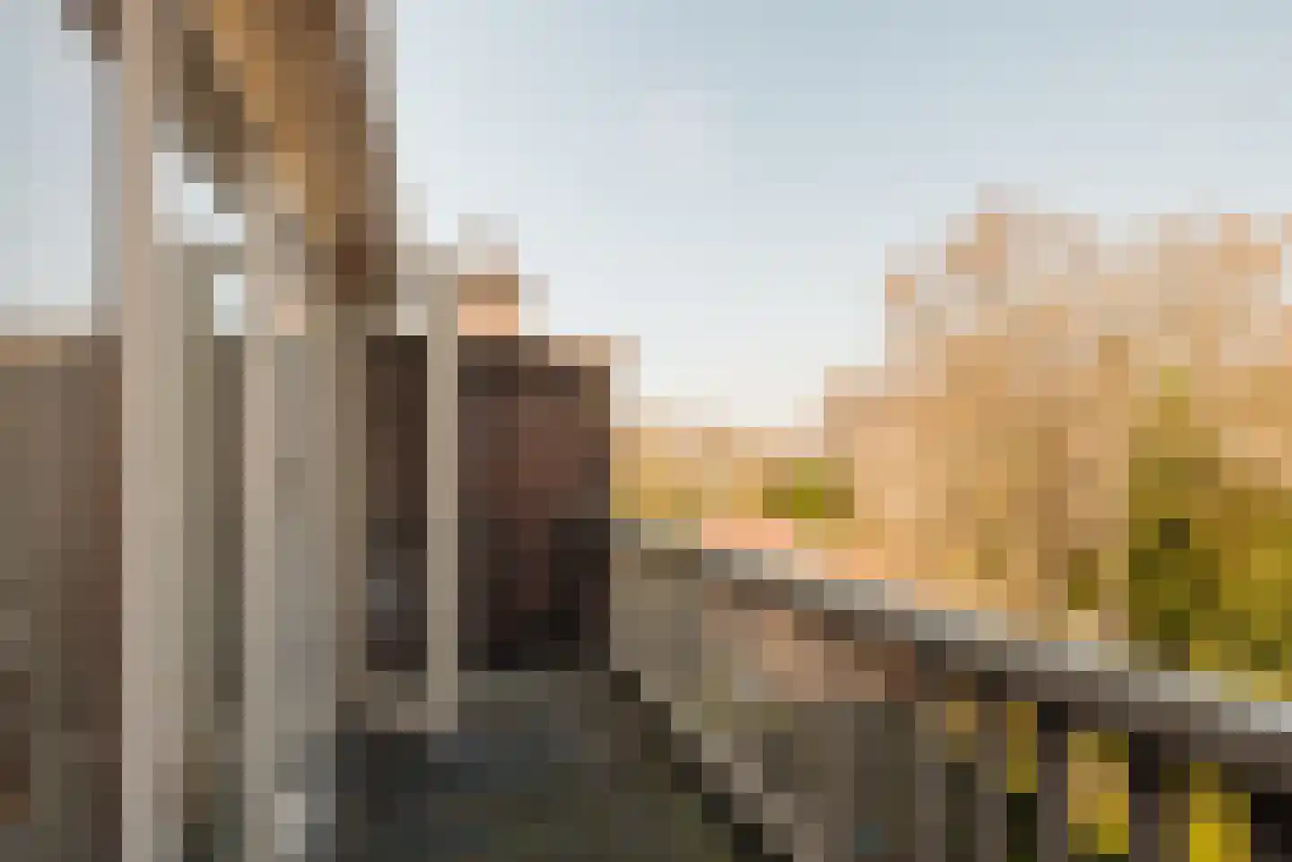 Van Zuylen van Nijeveltstraat 86 Wassenaar thumbnail 36