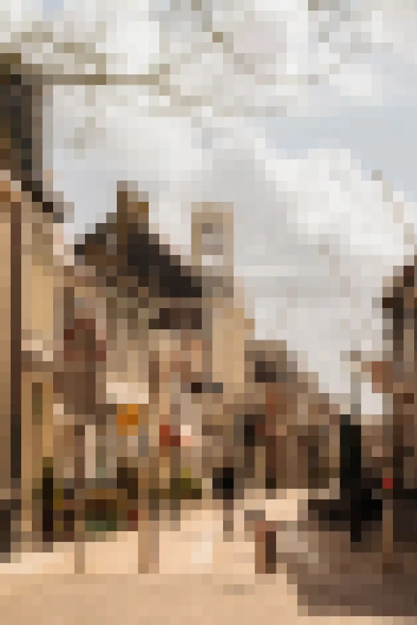 Van Zuylen van Nijeveltstraat 86 Wassenaar thumbnail 40