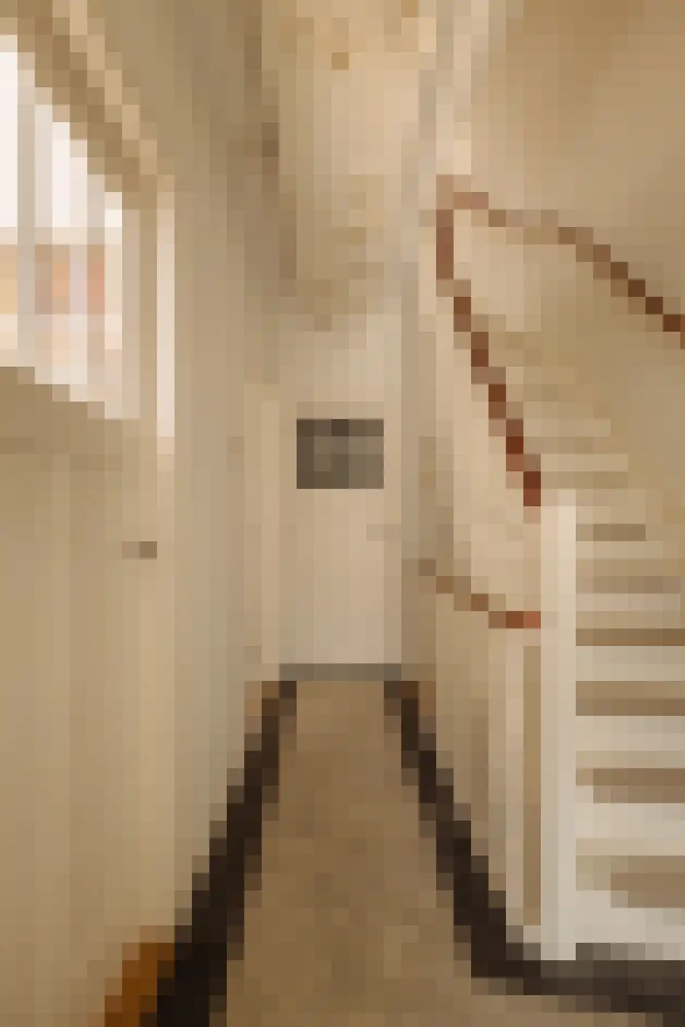 Van Zuylen van Nijeveltstraat 86 Wassenaar thumbnail 6