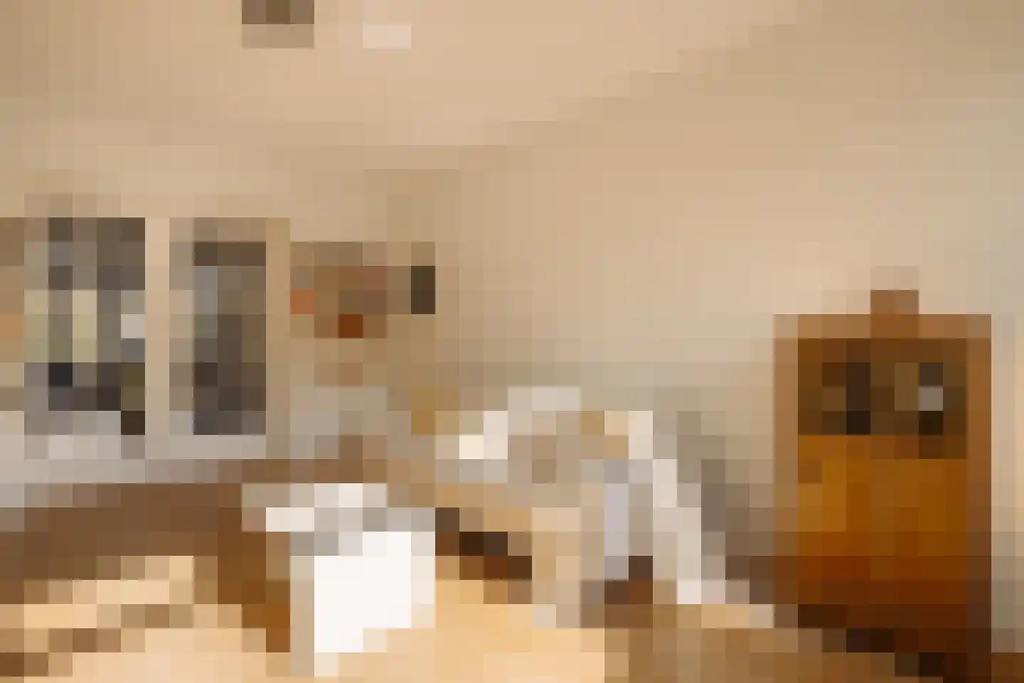 Van Zuylen van Nijeveltstraat 86 Wassenaar thumbnail 9