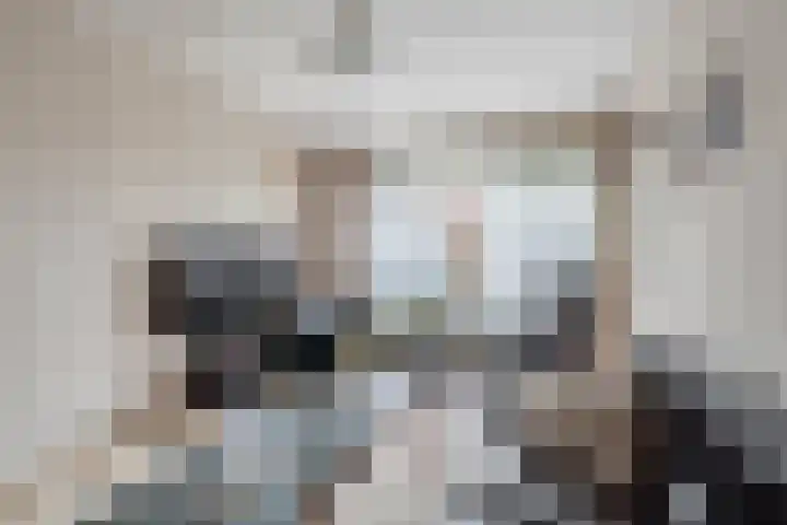 Van Zuylenstraat 2 De Meern thumbnail 12