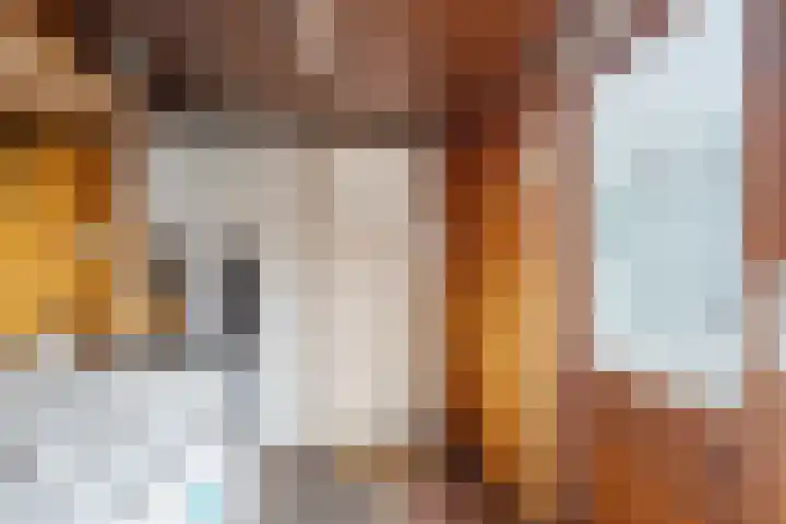 Van Zuylenstraat 2 De Meern thumbnail 22