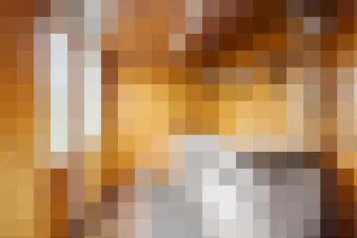 Van Zuylenstraat 2 De Meern thumbnail 23