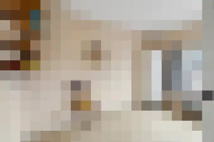 Van Zuylenstraat 2 De Meern thumbnail 29