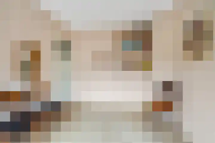 Van Zuylenstraat 2 De Meern thumbnail 30