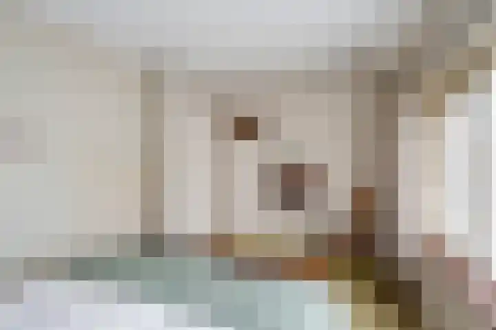 Van Zuylenstraat 2 De Meern thumbnail 32