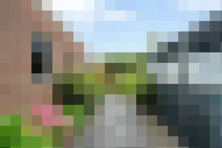 Van Zuylenstraat 2 De Meern thumbnail 41