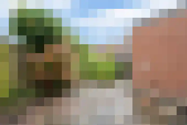 Van Zuylenstraat 2 De Meern thumbnail 44