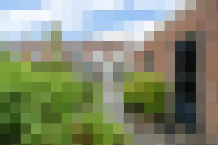 Van Zuylenstraat 2 De Meern thumbnail 45