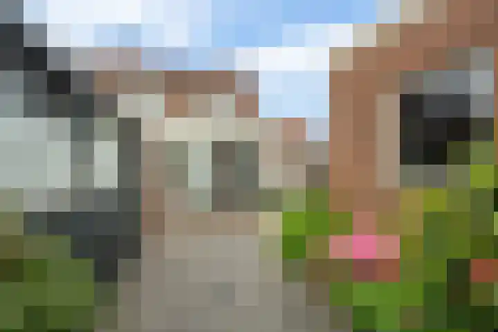 Van Zuylenstraat 2 De Meern thumbnail 46