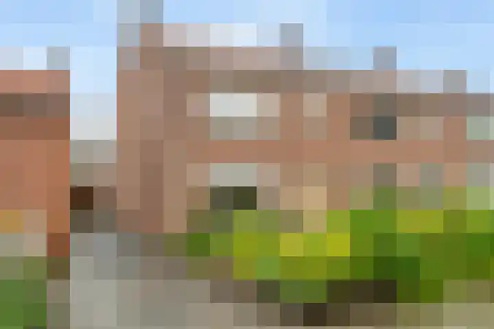 Van Zuylenstraat 2 De Meern thumbnail 51