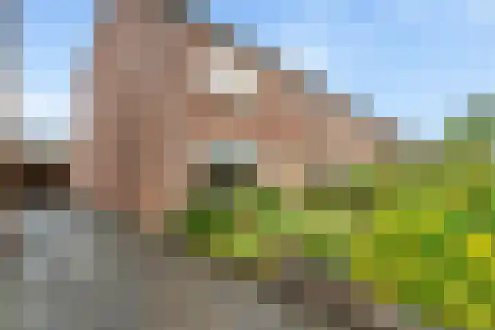 Van Zuylenstraat 2 De Meern thumbnail 52