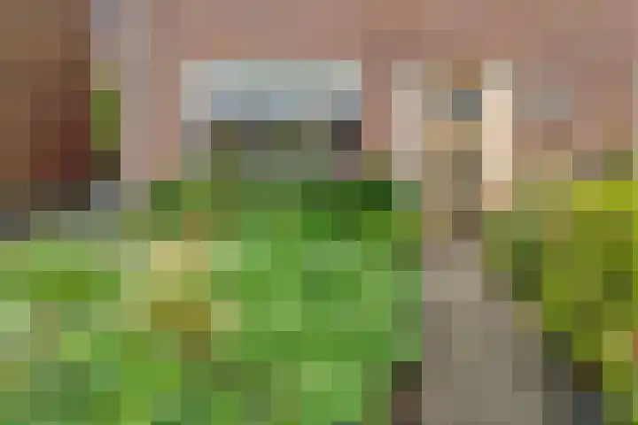 Van Zuylenstraat 2 De Meern thumbnail 53