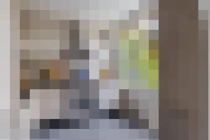 Van Zuylenstraat 36 De Meern thumbnail 14