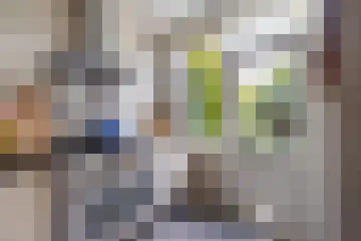 Van Zuylenstraat 36 De Meern thumbnail 15