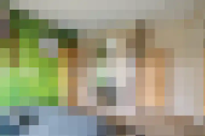 Van Zuylenstraat 36 De Meern thumbnail 24