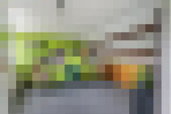 Van Zuylenstraat 36 De Meern thumbnail 29