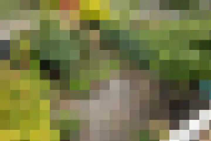 Van Zuylenstraat 36 De Meern thumbnail 32