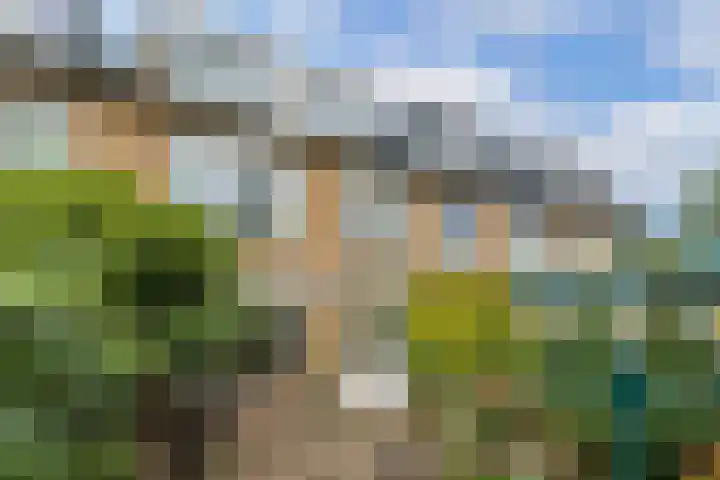 Van Zuylenstraat 36 De Meern thumbnail 33
