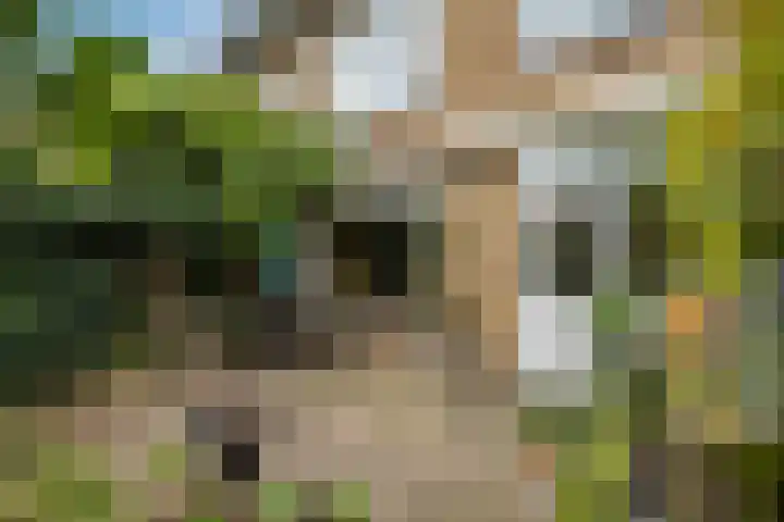 Van Zuylenstraat 36 De Meern thumbnail 34