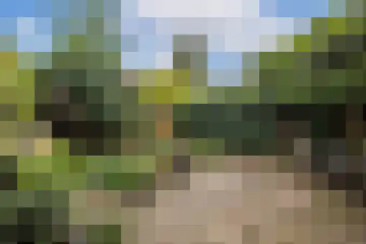 Van Zuylenstraat 36 De Meern thumbnail 35