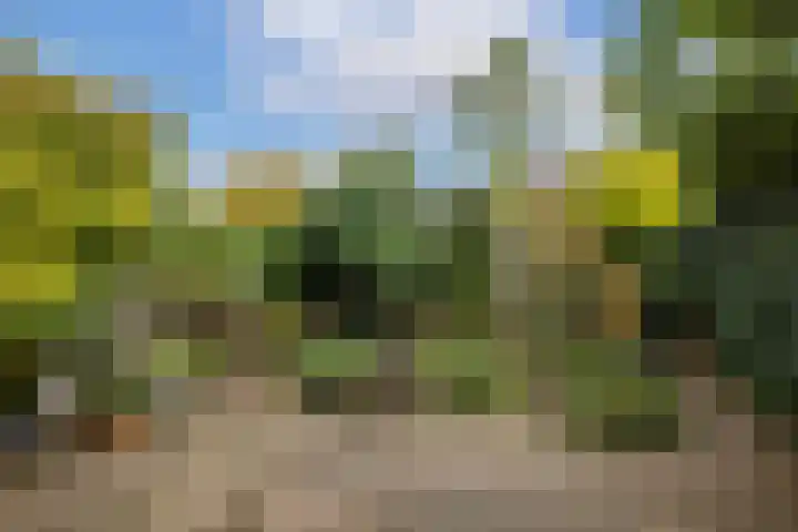 Van Zuylenstraat 36 De Meern thumbnail 36