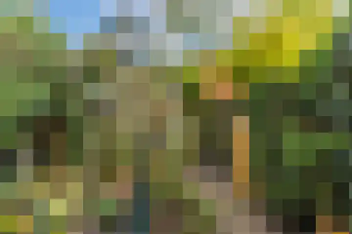 Van Zuylenstraat 36 De Meern thumbnail 37