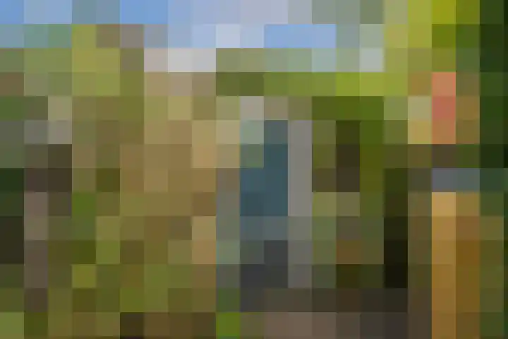 Van Zuylenstraat 36 De Meern thumbnail 38