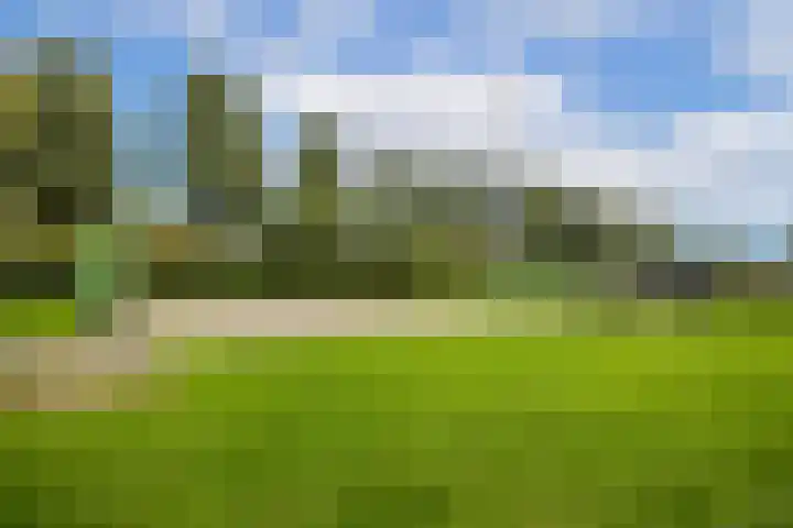 Van Zuylenstraat 36 De Meern thumbnail 39