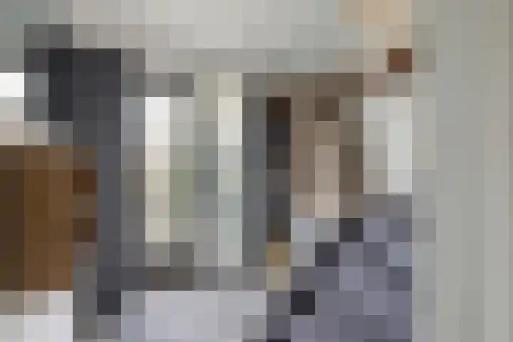 Van Zuylenstraat 36 De Meern thumbnail 4