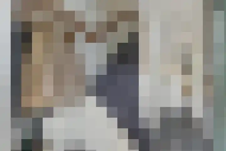 Van Zuylenstraat 36 De Meern thumbnail 5