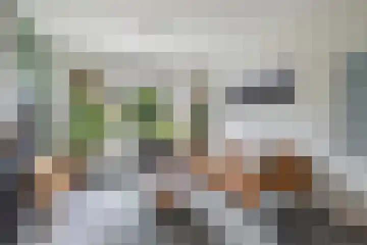Van Zuylenstraat 36 De Meern thumbnail 9