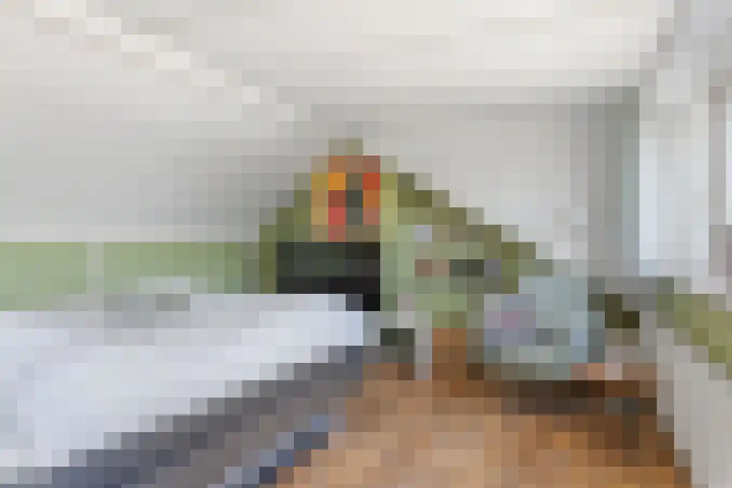 Van Zuylenstraat 37 De Meern thumbnail 22