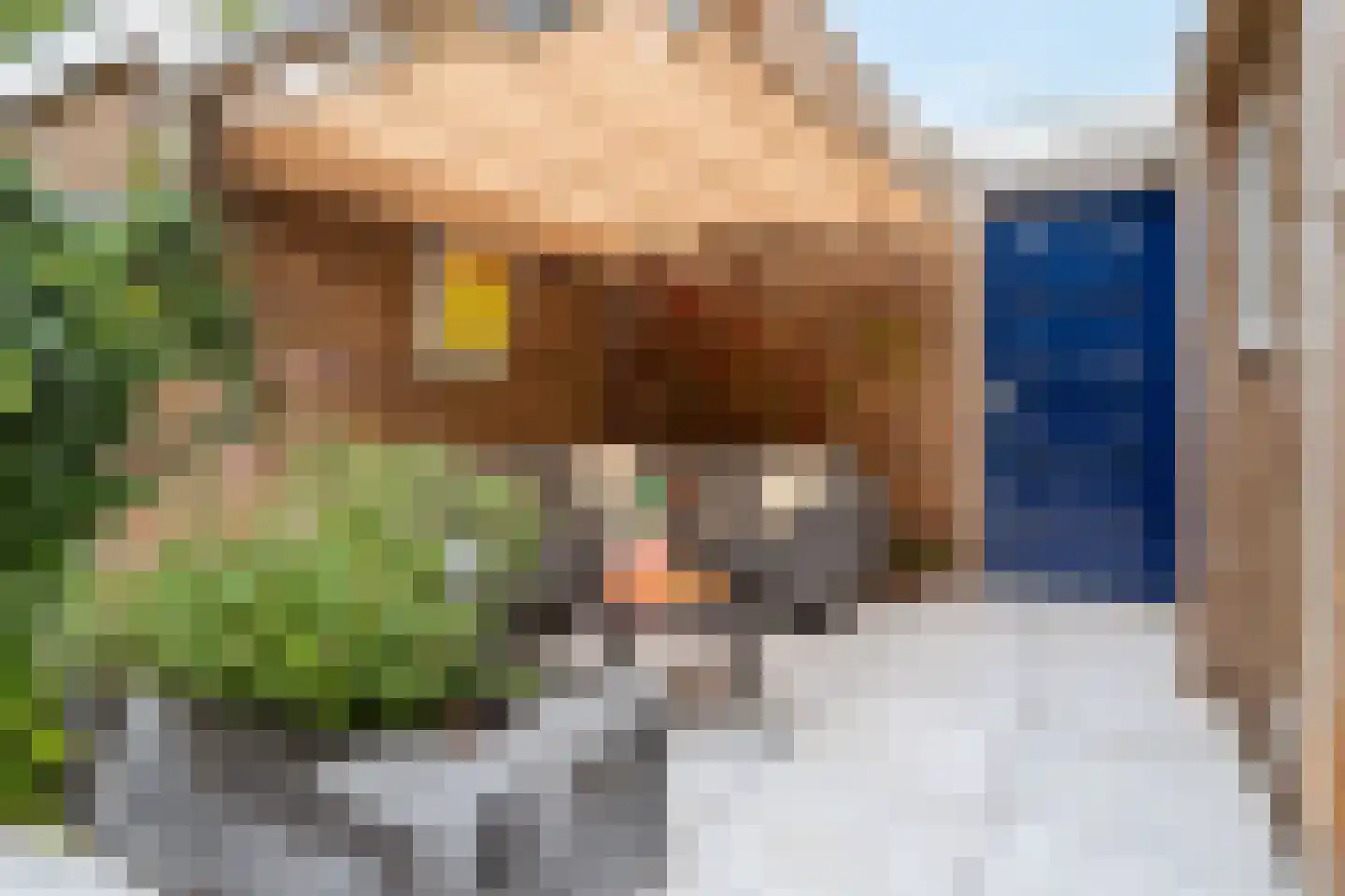 Van Zuylenstraat 37 De Meern thumbnail 25