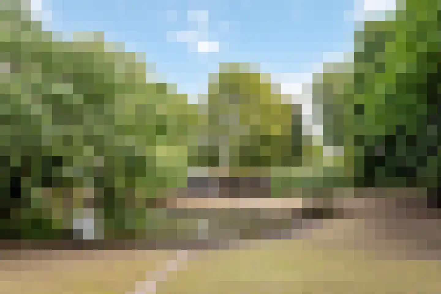 Van Zuylenstraat 37 De Meern thumbnail 30