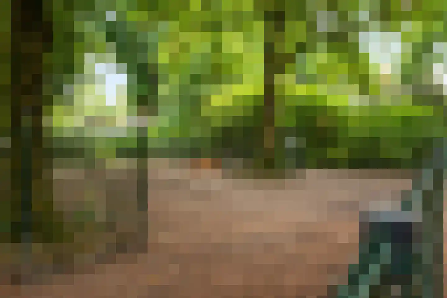 Van Zuylenstraat 37 De Meern thumbnail 31
