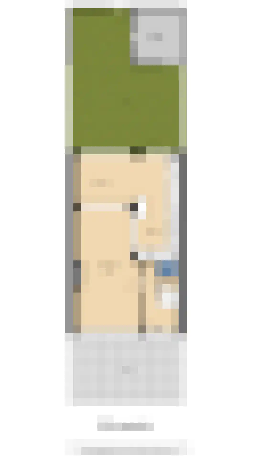 Van Zuylenstraat 37 De Meern thumbnail 42