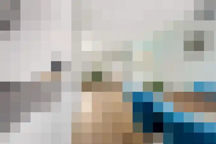 Van Zuylenware 48 Zwolle thumbnail 11