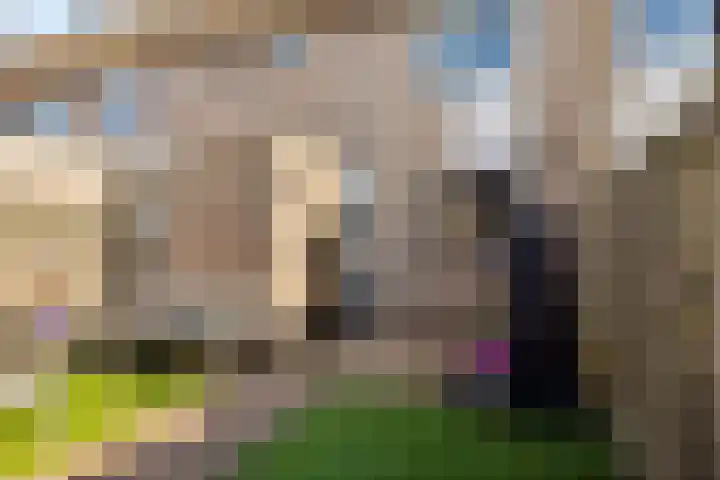 Van Zuylenware 48 Zwolle thumbnail 29
