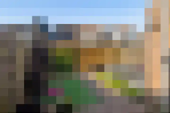 Van Zuylenware 48 Zwolle thumbnail 30