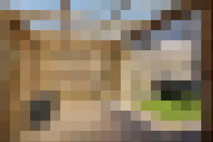 Van Zuylenware 48 Zwolle thumbnail 32